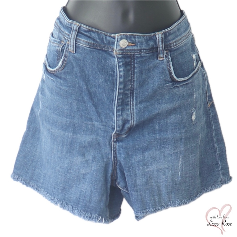SALE Pilcro Distressed Denim Shorts (Anthropologie)